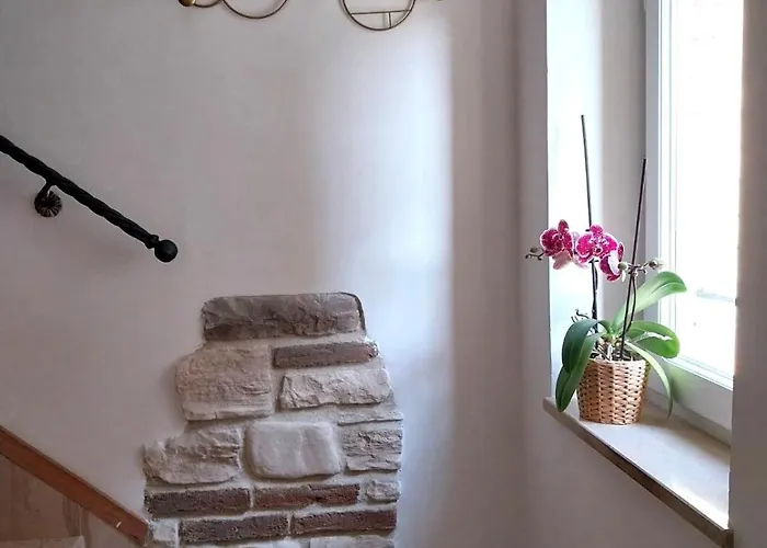 Il Gelsomino Valfabbrica